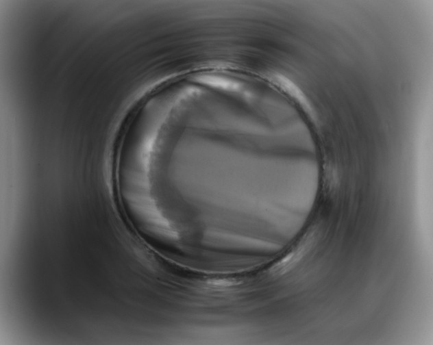 X0000088191035200705292008