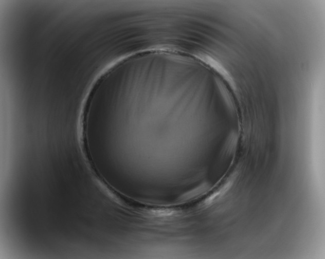 X0000088191037200705292008