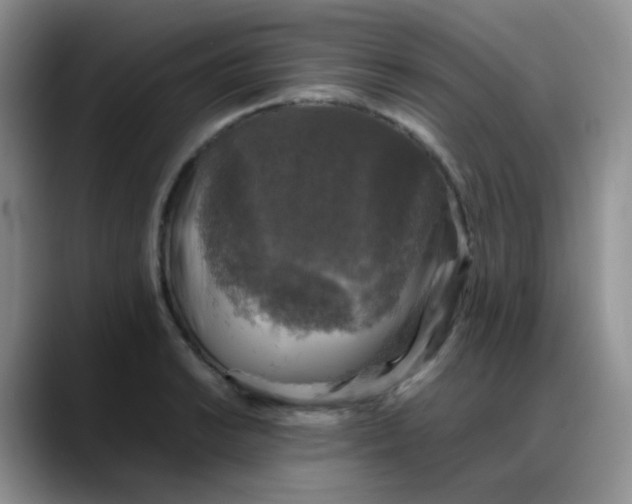 X0000088191038200705292008