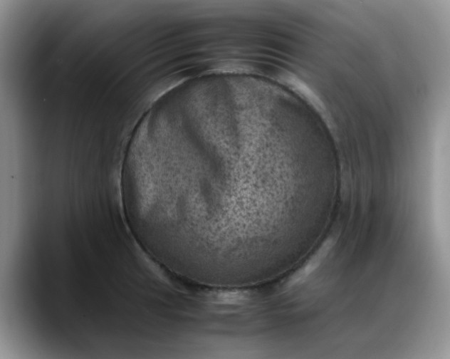 X0000088191041200705292008