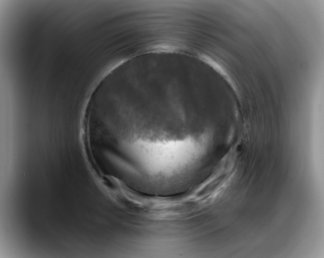 X0000088191042200705292008