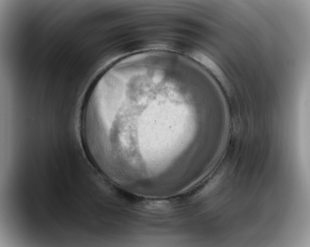 X0000088191043200705292008