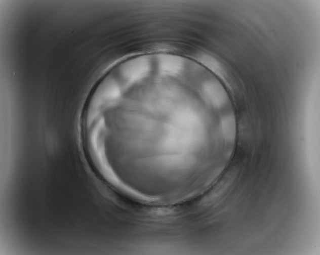 X0000088191047200705292008