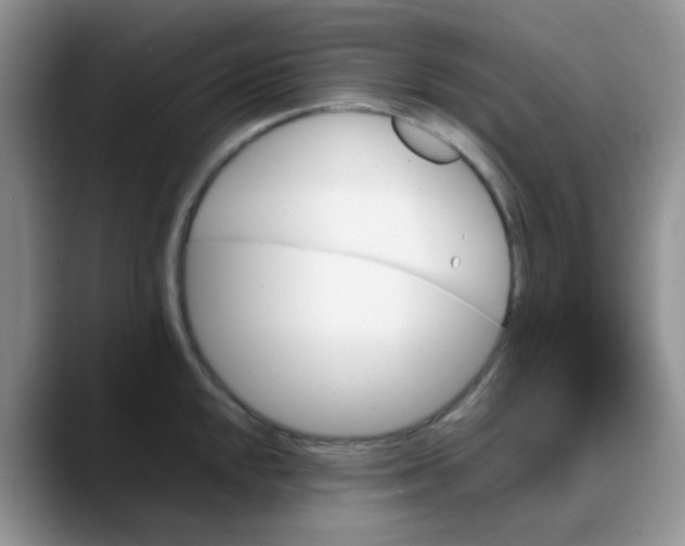 X0000088191048200705292008