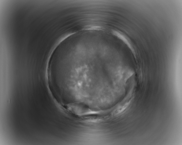 X0000088191050200705292008
