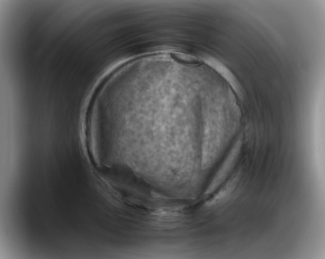 X0000088191051200705292008