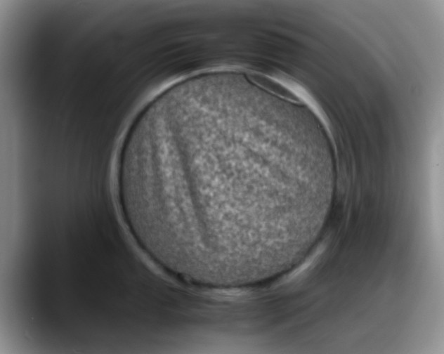 X0000088191053200705292008