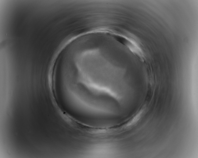 X0000088191054200705292008