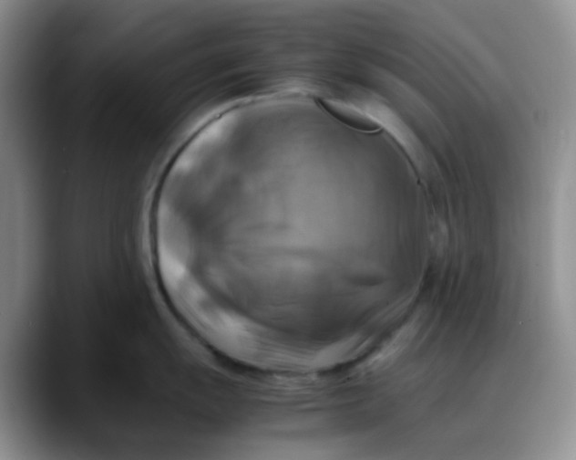 X0000088191055200705292008