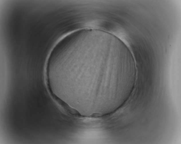 X0000088191056200705292008