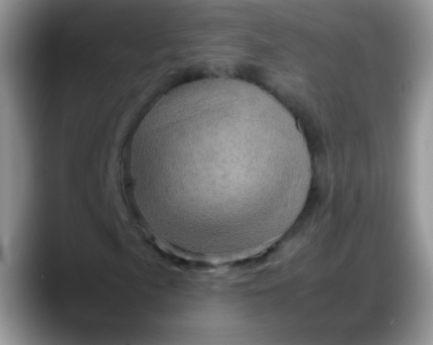X0000088191057200705292007