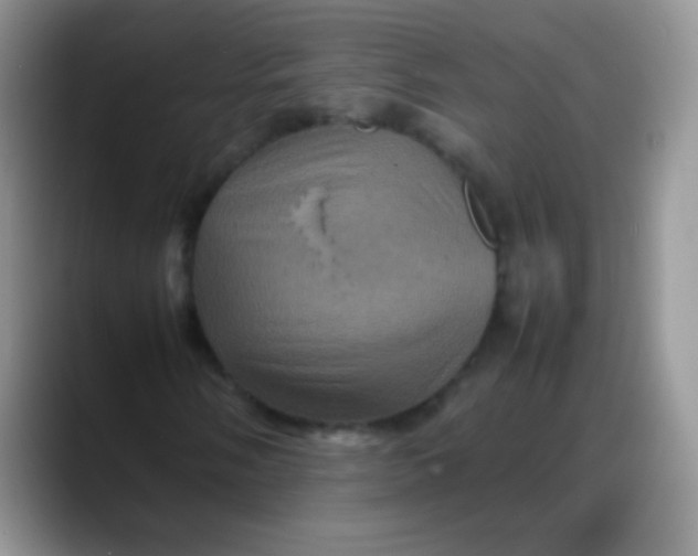 X0000088191058200705292007
