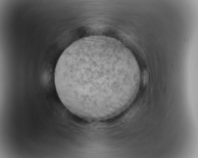 X0000088191059200705292007