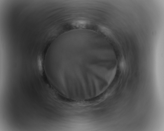X0000088191060200705292007