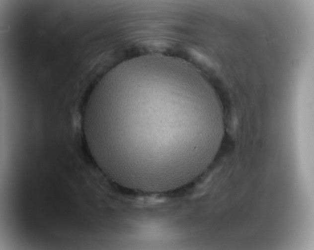 X0000088191061200705292007