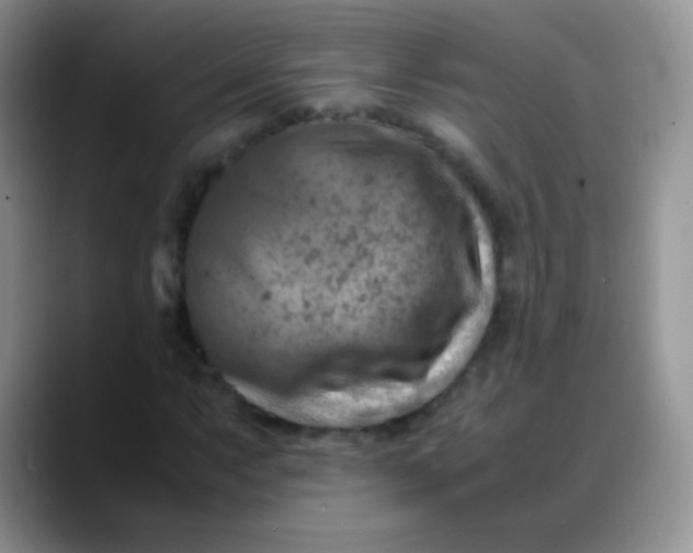 X0000088191063200705292007