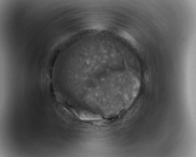 X0000088191064200705292007