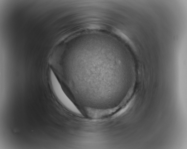 X0000088191065200705292007