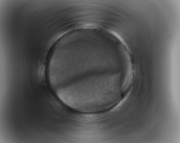 X0000088191066200705292007
