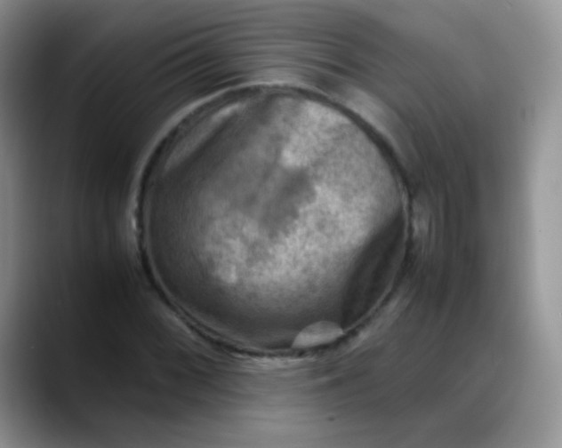 X0000088191068200705292007