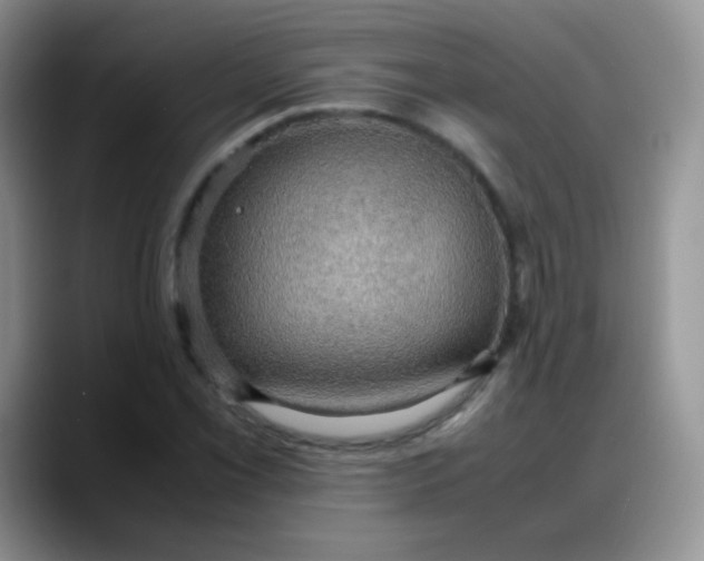 X0000088191069200705292007