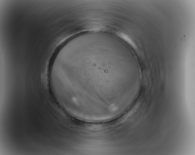 X0000088191071200705292007