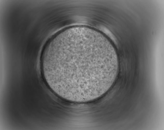 X0000088191072200705292007