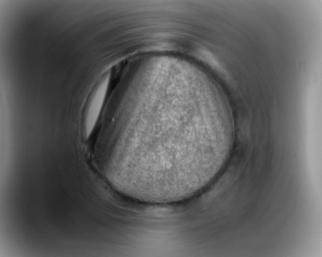 X0000088191073200705292007