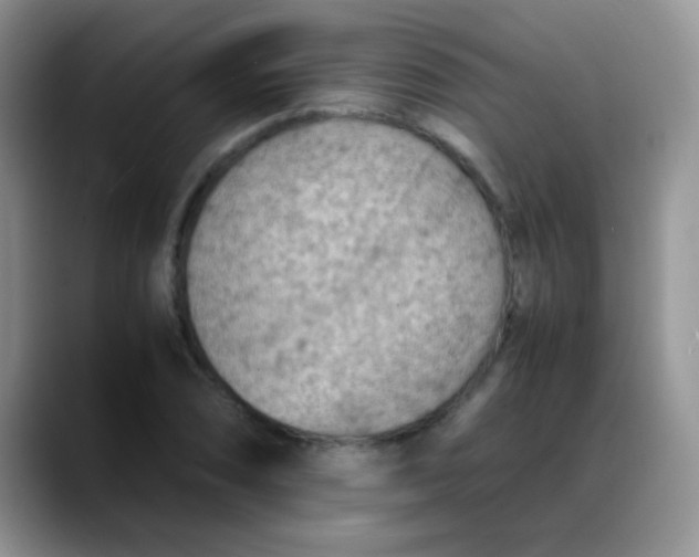 X0000088191074200705292007
