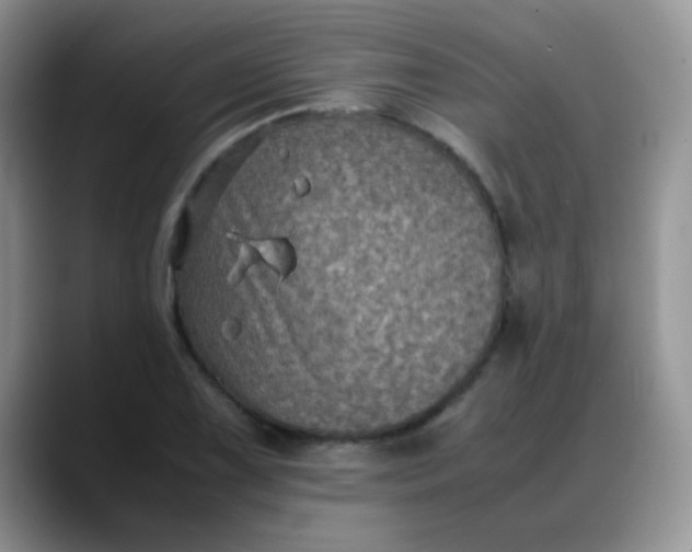 X0000088191075200705292007