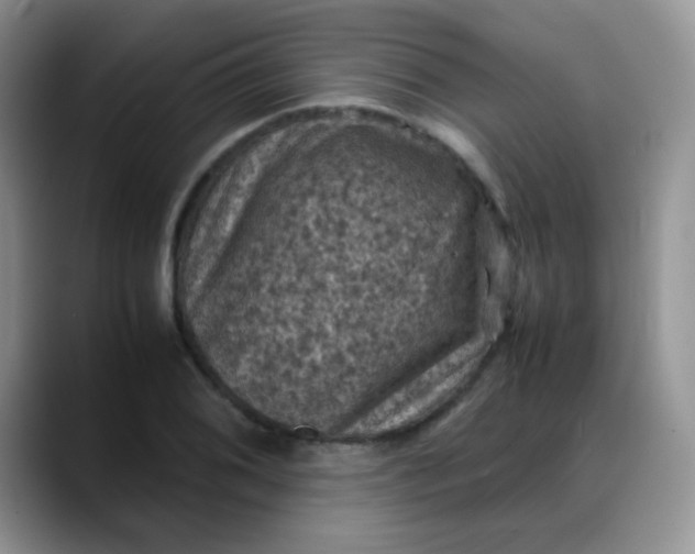X0000088191076200705292007