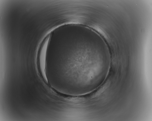 X0000088191077200705292007