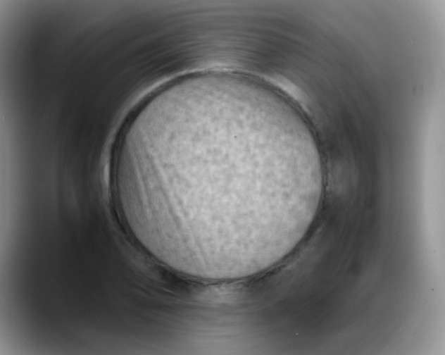 X0000088191078200705292007