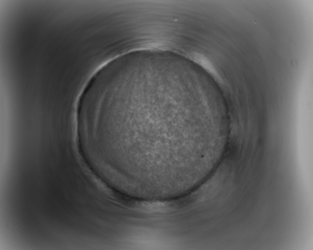 X0000088191079200705292007