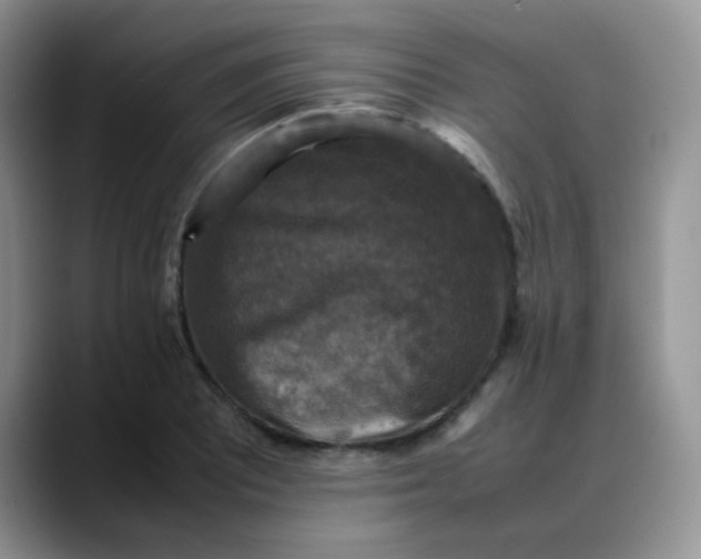 X0000088191081200705292007