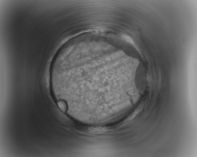 X0000088191083200705292007