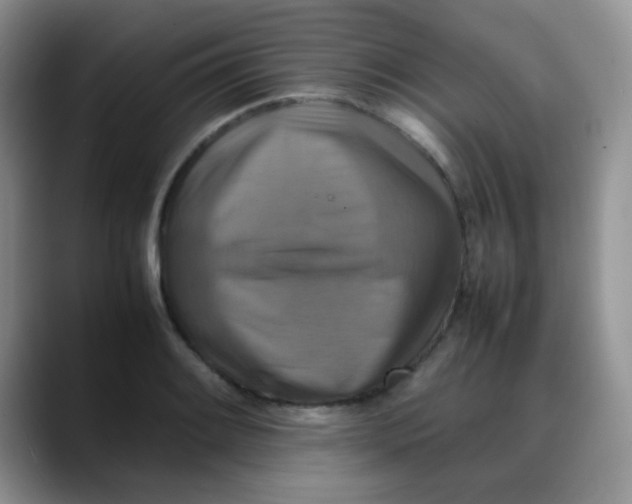 X0000088191084200705292007