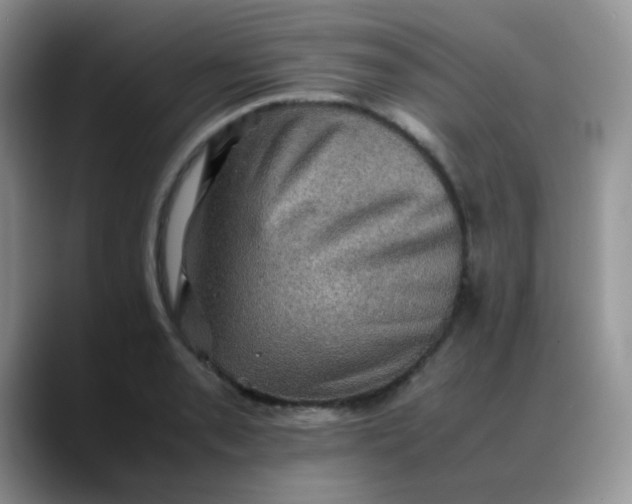 X0000088191085200705292007
