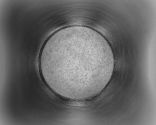 X0000088191086200705292007