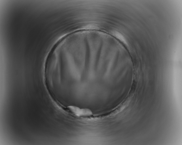 X0000088191087200705292007