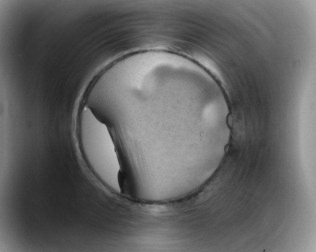 X0000088191088200705292007