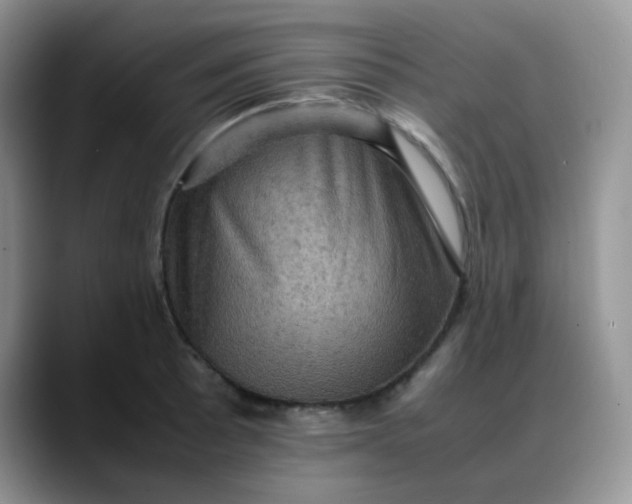 X0000088191089200705292007