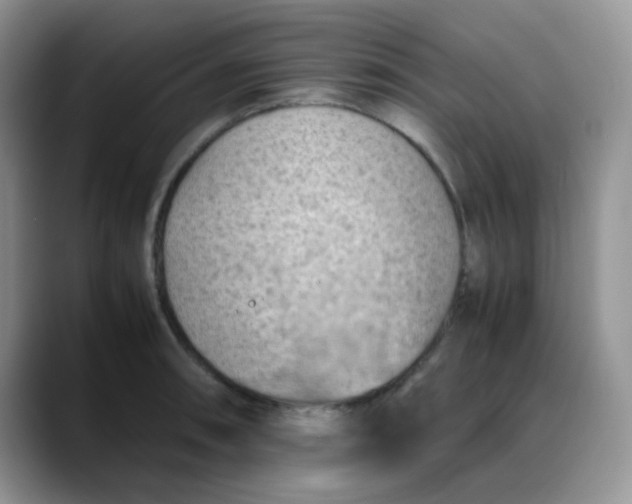 X0000088191090200705292007