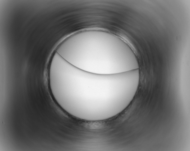 X0000088191092200705292007