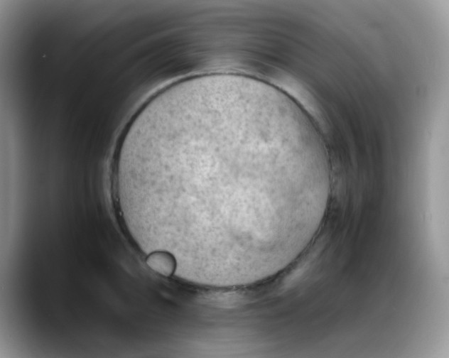 X0000088191094200705292007