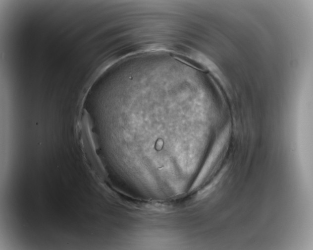 X0000088191097200705292007