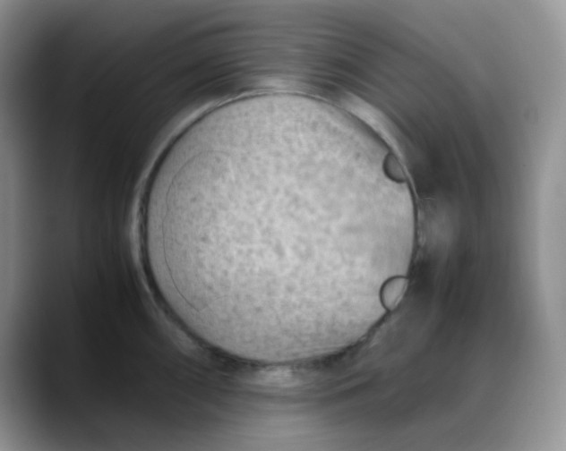 X0000088191098200705292007