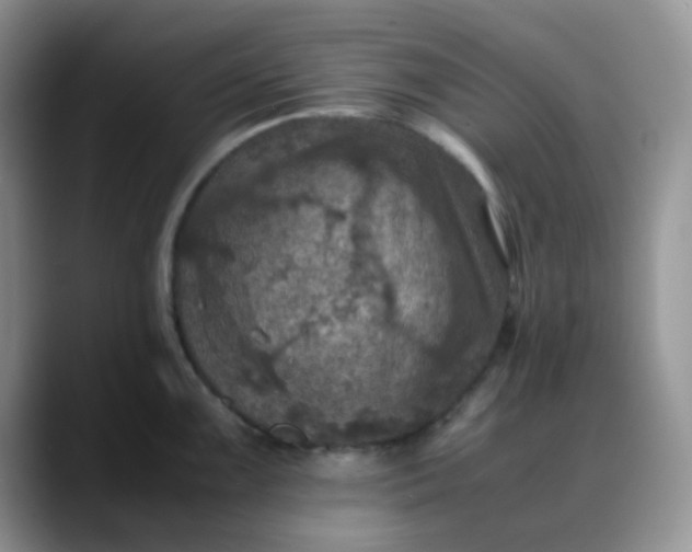 X0000088191099200705292007