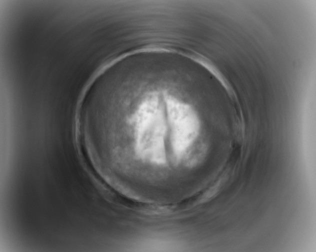 X0000088191101200705292007