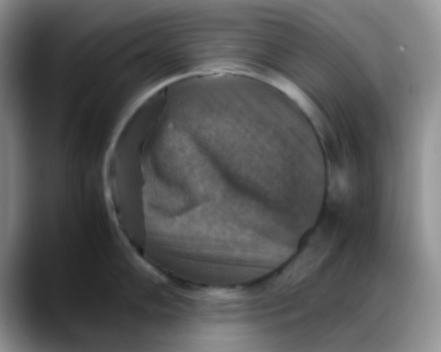X0000088191102200705292007